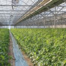 하이농장 이미지