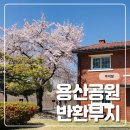 용산-318 | 용산공원 반환부지 l 봄날 아이랑 사진찍기 좋은 포토스팟 후기