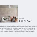 루씨