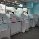 멍멍아 스파가자 이미지