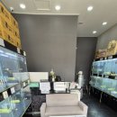 버디독강아지분양안심분양센터 - 김포시 김포한강4로 521 | 버디독강아지분양안심분양센터
