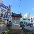 도심 속 작은 무대 | 도심 속 작은 식물원, 종로 꽃 시장 방문 후기