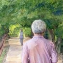 남자의 다리에 홀딱 빠지다 이미지