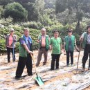 사랑의농장 이미지