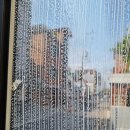 에코 크리너스 이미지