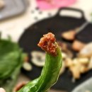 숲속민박 | 광양 옥룡계곡 평상대여 반석민박 | 시원한 숲속 물놀이 장소