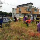 대천동-7 이미지