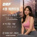 다름핏 네이버블로그