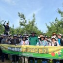 군위군 농업기술센터 | 대구 군위군 농업기술센터, 농촌 일손돕기 실시