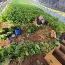 재주농장 이미지