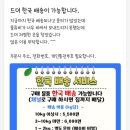 바른차오토샵 | [더바른 은정이네] 베트남 나트랑 기념품샵 추천! 캐슈넛, 마카다미아, 수제청 내돈내산 후기