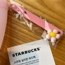 꼬끼오 강화갑곳리지점 | 스타벅스 실리콘 푸드백 세트 내돈내산 가격 핑크 실물 장점 단점