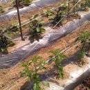 둘만농장 이미지