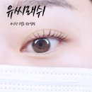 유씨래쉬