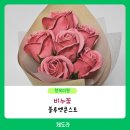 블루멘쿤스트