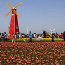 대부바다향기 테마파크 이미지