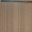 1RM플랜