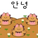 프란디움 이미지