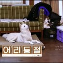 순이민박 이미지