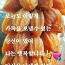 좋은세상 이미지