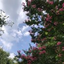 연화정도서관 화장실 이미지