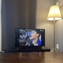 빌라노하마다 | 제주 서귀포 감성 독채 펜션 추천, 너무 예뻤던 <빌라노하마다>