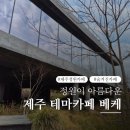 제주 테마카페 도슨트가 해설해 주는 고급스러운 정원카페 베케 2026년 방문후기, 할인예약 방법