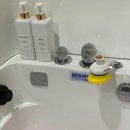 호텔펫코리아 이미지