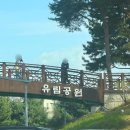 카이스트 정문 | 대전4월데이트 유림공원 튤립 / 카이스트 겹벚꽃