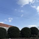 만땅PC카페 서귀포점 | 여행_#3. 서귀포 카페 ‘동백 포레스트&#39; / 서귀포 카페 &#39;루브린 라운지&#39; / 제주 정원 카페 / 제주 동백...