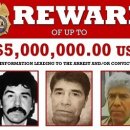 멕시코 조직 카르텔이 미국요원을 살해하자 열받은 미국정부의 복수 이미지