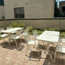 [서울] 가산디지털단지 치킨, 효도치킨 가산퍼블릭점 - 꽈리멸 치킨 &amp; 효도밥