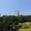 봉곡동266 이미지