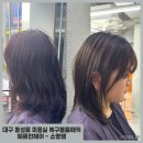 대구 동성로 미용실 수습 복구 볼륨매직은 헤르인헤어 소영쌤 찾아가세요
