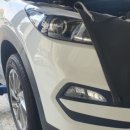 애니카랜드연동점 이미지