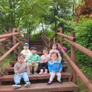 마전 제1호공원 이미지