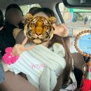 파타고니아 신칠라 오트밀 헤더 니얼리그린 우먼 사이즈 S,M 비교 착샷 (파타고니아 신상 컬러)
