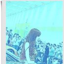 VDVD 이미지