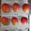 은서농장 이미지