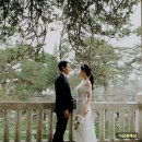 다담플래닝 이미지