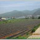 농업기술센터 뒤 이미지