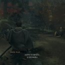 체술건강