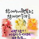 🍒12월 27일 금요일 간추린 아침뉴스입니다 이미지