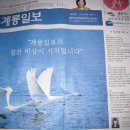 충남 계룡일보 창간호 1면기사에 실린/무지개 마음 이미지