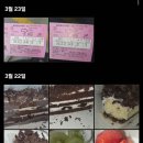 극동모텔 | 청주 다녀왓어요,,,^^ <--@