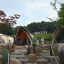 중앙J마트 | 포천 “스푼 글램핑 카라반” 내돈내산 솔직후기✨(+수영장)