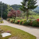 풍천사슴농장 이미지