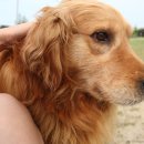 두미목장 이미지