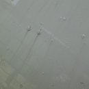 디테일링 라인 이미지