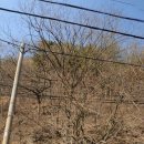 금산공인중개사사무소 이미지